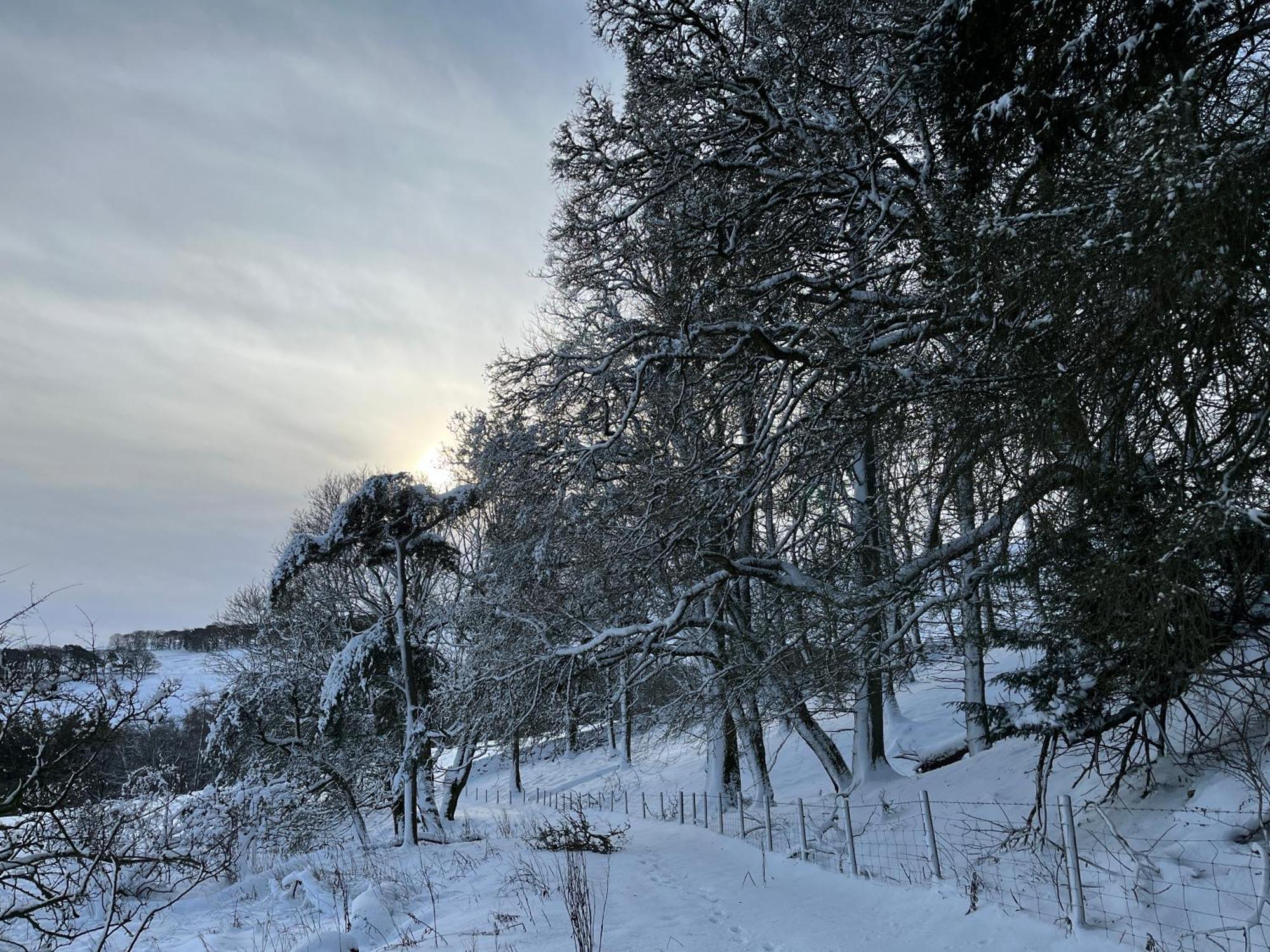 Апартаменты The Snug At Greystones Buckden  Экстерьер фото